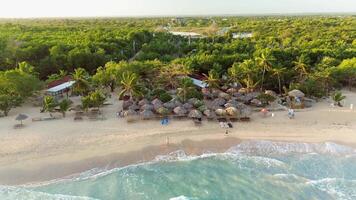 antenne visie zonsopkomst van paradijs eiland met palm oerwoud en caraïben zee video