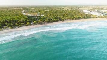 aereo Visualizza Alba di Paradiso isola con palma giungla e caraibico mare video