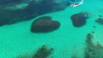 aéreo topo Visão às em forma de coração barreira recife. caribe mar. dominicano república. video