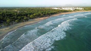 Aerial view sunrise of paradise island with palm jungle and Caribbean sea video