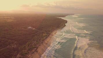 paraíso palma playa Macao gracias el pintoresco atlántico océano. a puesta de sol video