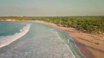 paraíso palma playa Macao gracias el pintoresco atlántico océano. a puesta de sol video