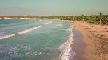 paradis paume plage macao grâces le pittoresque atlantique océan. à le coucher du soleil video