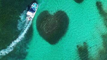 antenn topp se på hjärtformade barriär rev korall. turkos hav vatten. tropisk paradis. katamaran båt med turister. karibiska hav. atlanten hav. zoom ut. video