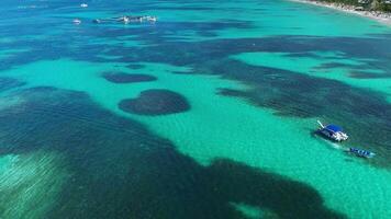 aéreo parte superior ver a en forma de corazon barrera arrecife. caribe mar. dominicano república. video