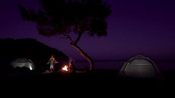 toerist familie in de buurt de kampvuur Bij nacht. vrijheid en reizen concept. 4k video