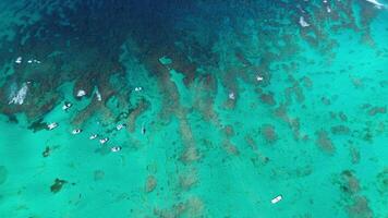 volador terminado el genial barrera arrecife en el domingos de Pentecostés, dominicano república video
