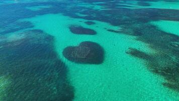 aéreo parte superior ver a en forma de corazon barrera arrecife. caribe mar. dominicano república. video