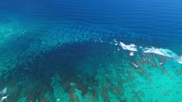 vôo sobre a ótimo barreira recife dentro a Domingos de Whit, dominicano república video