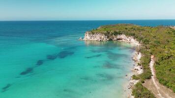 aérien drone vidéo de tropical paradis exotique île baie couvert dans calcaire des arbres avec émeraude cristal clair plage dans Caraïbes destination. espace pour texte. vol vers l'avant video