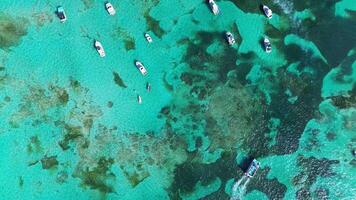 aereo superiore Visualizza tropicale isola nel il grande barriera scogliera con yachts andare in barca. video
