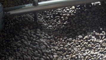 Freshly roasted coffee beans from a large coffee roaster. Roasting coffee beans at Roasting equipment. Coffee beans are spinning in a machine. Close-up. video