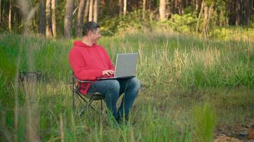 pazzo programmatore Lavorando su il computer portatile nel estate foresta a il soleggiato giorno. a distanza opera concetto. 4k video