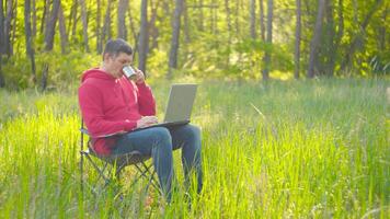 uomo Lavorando su il computer portatile nel estate foresta a il soleggiato giorno. occupato libero professionista lavoratore potabile tè e Lavorando su moderno tecnologia il computer portatile. libero professionista a distanza opera concetto. 4k video