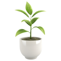 AI generated 3D Rendering of a Green Plant in a Pot on Transparent Background - Ai Generated png