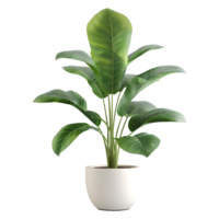 AI generated 3D Rendering of a Green Plant in a Pot on Transparent Background - Ai Generated png