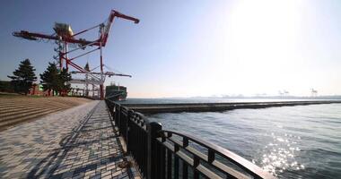conteneurs et grues près le Port dans Aomi tokyo large coup panoramique video