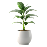 ai gegenereerd 3d renderen van een groen fabriek in een pot Aan transparant achtergrond - ai gegenereerd png