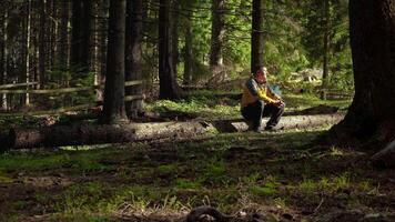 viaggiatore nel un' bellissimo foresta nel carpazi montagne. gli sport e ricreazione escursioni a piedi concetto. 4k video