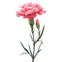 ai generiert 3d Rendern von ein Nelke Blume auf transparent Hintergrund - - ai generiert png