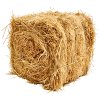 AI generated 3D Rendering of a Dry Hale Bale on Transparent Background - Ai Generated png