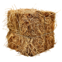 AI generated 3D Rendering of a Dry Hale Bale on Transparent Background - Ai Generated png