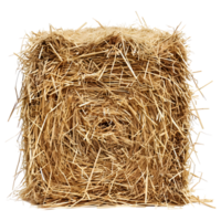 AI generated 3D Rendering of a Dry Hale Bale on Transparent Background - Ai Generated png