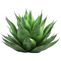 AI generated 3D Rendering of a Agave Montana on Transparent Background - Ai Generated png
