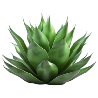 ai gegenereerd 3d renderen van een agave Montana Aan transparant achtergrond - ai gegenereerd png