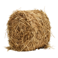 AI generated 3D Rendering of a Dry Hale Bale on Transparent Background - Ai Generated png