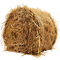 AI generated 3D Rendering of a Dry Hale Bale on Transparent Background - Ai Generated png