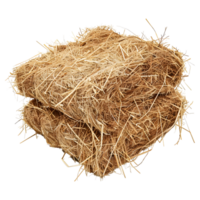 AI generated 3D Rendering of a Dry Hale Bale on Transparent Background - Ai Generated png