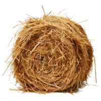 AI generated 3D Rendering of a Dry Hale Bale on Transparent Background - Ai Generated png