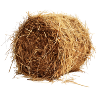 AI generated 3D Rendering of a Dry Hale Bale on Transparent Background - Ai Generated png