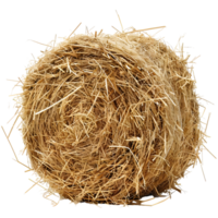 AI generated 3D Rendering of a Dry Hale Bale on Transparent Background - Ai Generated png