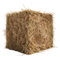 AI generated 3D Rendering of a Dry Hale Bale on Transparent Background - Ai Generated png