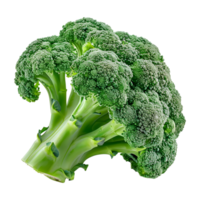 ai gegenereerd 3d renderen van een groen broccoli Aan transparant achtergrond - ai gegenereerd png