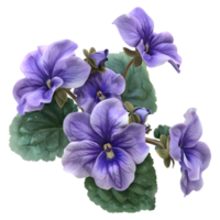 ai generato 3d interpretazione di un' viola viola del pensiero fiore su trasparente sfondo - ai generato png