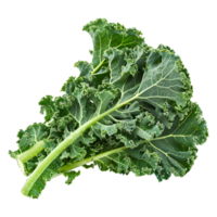 AI generated 3D Rendering of a Curly Kale on Transparent Background - Ai Generated png