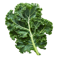 AI generated 3D Rendering of a Curly Kale on Transparent Background - Ai Generated png