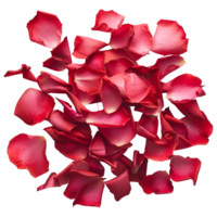 ai gerado 3d Renderização do uma rosa pétalas em transparente fundo - ai gerado png