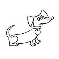 Dachshund cartoon coloring book illustrations. Vector