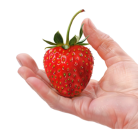 AI generated 3D Rendering of a Strawberries in Hand on Transparent Background - Ai Generated png