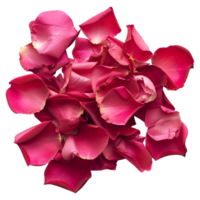 ai generado 3d representación de un Rosa pétalos en transparente antecedentes - ai generado png