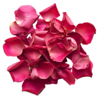 ai gerado 3d Renderização do uma rosa pétalas em transparente fundo - ai gerado png