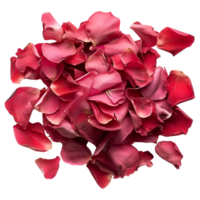 ai gerado 3d Renderização do uma rosa pétalas em transparente fundo - ai gerado png