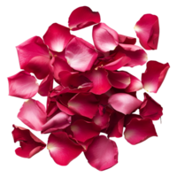 ai gerado 3d Renderização do uma rosa pétalas em transparente fundo - ai gerado png