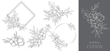 Hand Drawn Cotton Flowers Line Art Illustration. Cotton Balls isolated on white. Hand drawn floral frame. Cotton Plant Black and white illustration. Fine Line Cotton illustration. vector