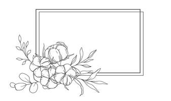 Hand Drawn Cotton Flowers Line Art Illustration. Cotton Balls isolated on white. Floral Line Art. Cotton Plant Black and white illustration. Fine Line Cotton illustration. vector