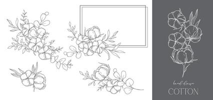 Hand Drawn Cotton Flowers Line Art Illustration. Cotton Balls isolated on white. Hand drawn floral frame. Cotton Plant Black and white illustration. Fine Line Cotton illustration. vector